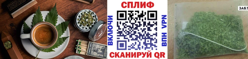 где купить   Талдом  Canna-Cookies конопля 