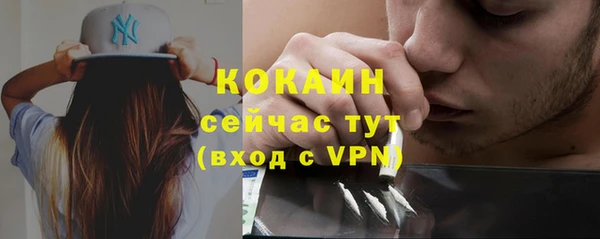 тгк Абаза