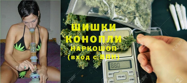 тгк Абаза