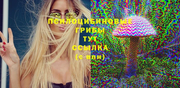 тгк Абаза