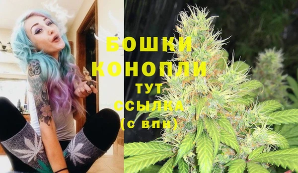 тгк Абаза