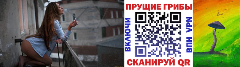 Псилоцибиновые грибы прущие грибы Талдом